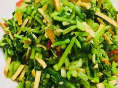 -全乐鱼馆·淳牌有机鱼直营店