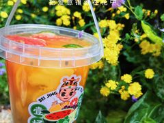 -茶太良品·北京特色茶饮(西站食宝街店)