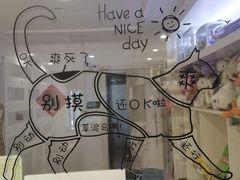 -楼上猫咖(罗湖店)
