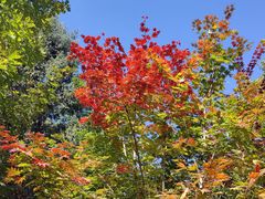 -长春市南湖公园