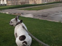 -北京拉斐特城堡酒店