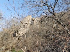 -白水寺森林公园