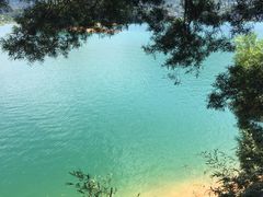 -广州市流溪河国家森林公园