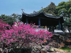 -无锡梅园公园