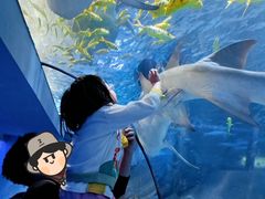 -太平洋海底世界