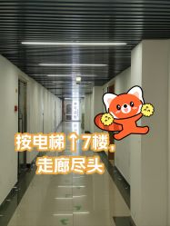 -米可造型烫染