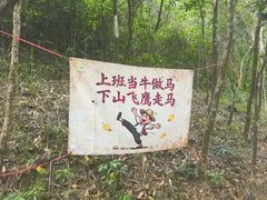 -广州白江湖森林公园