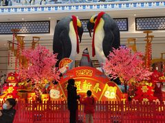 -帝企鹅自助餐厅•儿童岛•真企鹅(长隆企鹅酒店)