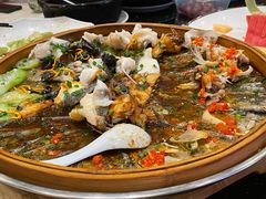 -丰食农家乐