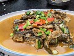 -小乡小镇·传承桐庐土菜·老板亲自烧的菜
