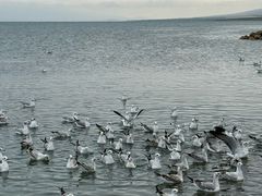 -青海湖国家重点风景名胜区