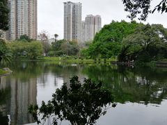 -晓港公园