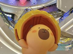 -首开·龙湖成都西宸天街