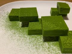 -柴务处·柴犬主题狗咖