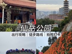 -仙岳公园
