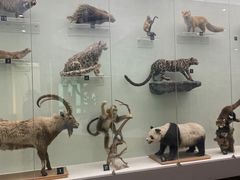 -国家自然博物馆