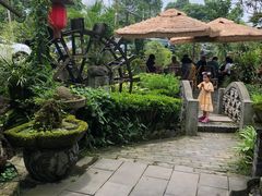 -青城甲(青城山店)