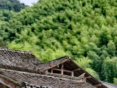 -刘伯温故里景区百丈漈