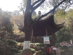 -宁波市保国寺古建筑博物馆