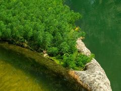 -成都市活水公园