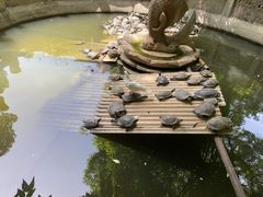 -天龙宝严素食馆(大兴善寺店)