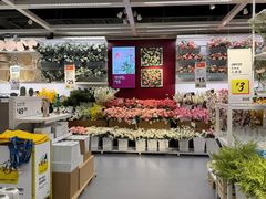 -宜家家居(高新商场店)