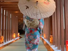-重庆南山海昌汤都