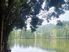 -三水森林公园