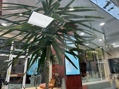 -东日国际动物医院·CT·心脏专科(桃源分院)