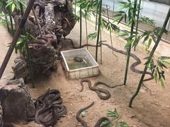 -荔城生鲜盛宴(番禺旗舰店)