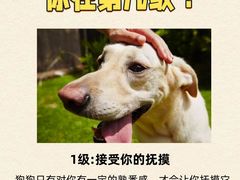 -翊宠yipet猫狗购宠庄园犬舍•猫舍