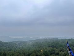 -铁山坪森林公园