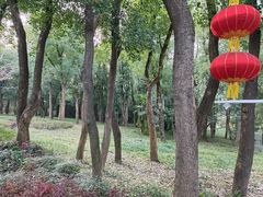 -东湖落雁景区