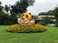 -成都大熊猫繁育研究基地