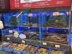 -船歌·鱼水饺青岛菜(石老人店)