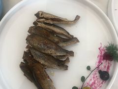 -南山鲜虾面·活鲜小馆·海味大连菜(南山总店)