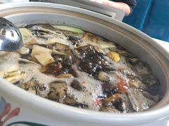 -爱膳菌锅锅(阳南店)