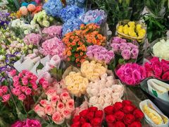 -双季花艺园艺市场(浦东店)