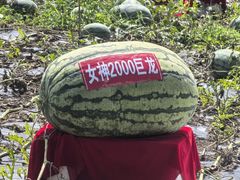 -长春农博园