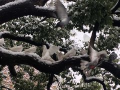 -西湖外事游船(湖滨二公园外事游船码头)