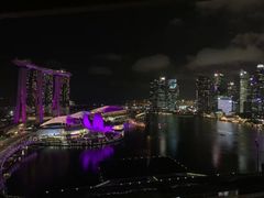 -新加坡丽思卡尔顿美年酒店