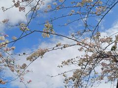 -海南热带雨林国家公园吊罗山景区