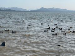 -深圳湾公园(南山区)