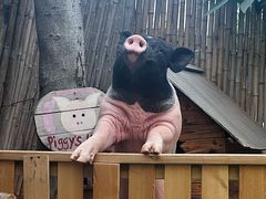 -HERRE·FARM 赫尔露营农场·团建聚会包场