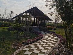 -芒洲湿地公园