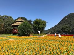 -广州市石门国家森林公园