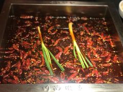 -钢管厂歆瑞源油卤串串香(春熙路太古里店)