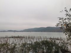 -湖畔居茶楼(湖滨店)
