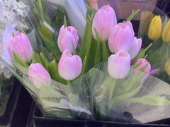 -盒马鲜生(大成店)