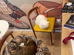 -Let's go狗咖·猫咖·奶狗·桌游(春熙路IFS店)